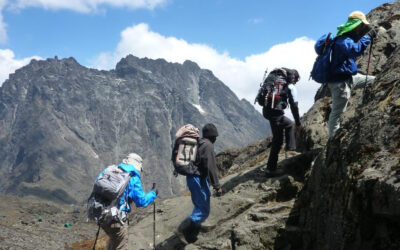 Rwenzori Mountains National Park