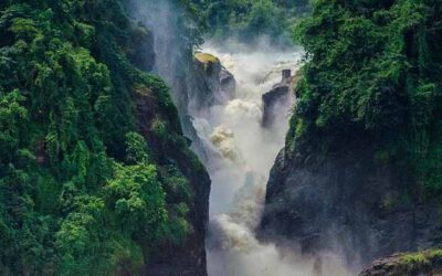 12-Day Uganda Safari: Discover the Best of Uganda’s Wildlife and Natural Beauty