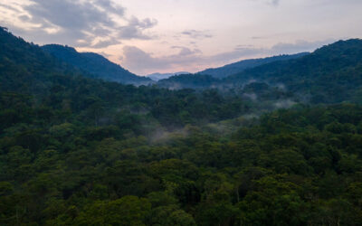 Bwindi Impenetrable National Park